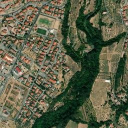 Loro Ciuffenna map(satellite map)