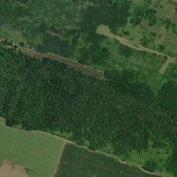 Obshtina Hayredin map(satellite map)