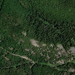 Satellite view of The Bohemia district and Bohemia Johnson