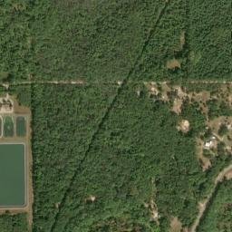 Newaygo County map(satellite map)