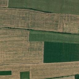 Obshtina Svishtov map(satellite map)