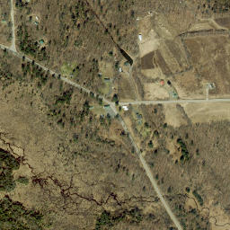 Pine Meadows New York High Resolution Satellite Map