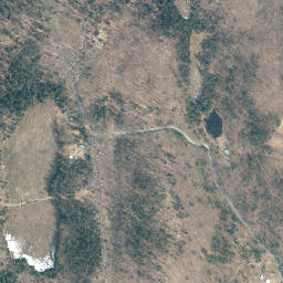 Hogtown New York High Resolution Satellite Map