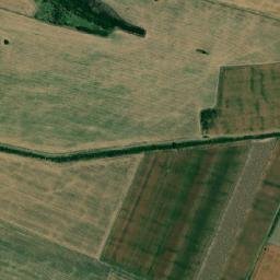 Obshtina Knezha map(satellite map)