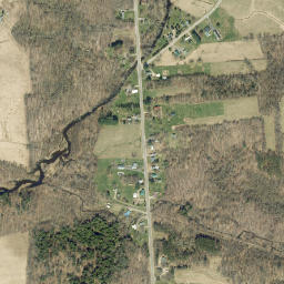 Demster New York High Resolution Satellite Map