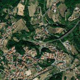 Bucine map(satellite map)