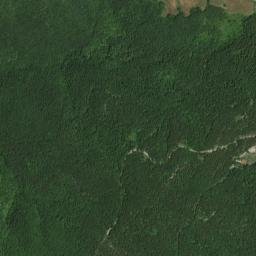 Monte Grimano map(satellite map)