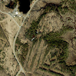 Kasoag New York High Resolution Satellite Map