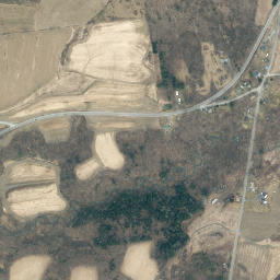 Raceville New York High Resolution Satellite Map