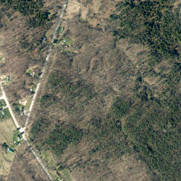 Florence Hill New York High Resolution Satellite Map