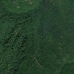 Obshtina Chiprovtsi map(satellite map)