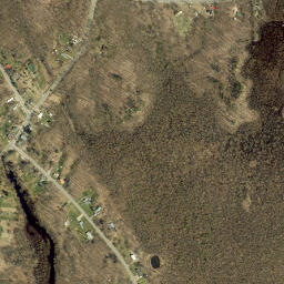 Vermilion New York High Resolution Satellite Map