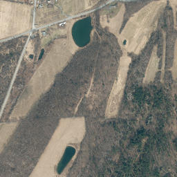 Slyboro New York High Resolution Satellite Map