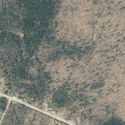 Hoffmeister New York High Resolution Satellite Map