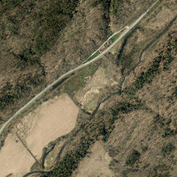 Dunn Brook New York High Resolution Satellite Map