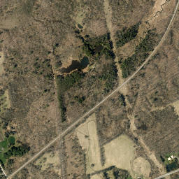 Honnedaga New York High Resolution Satellite Map