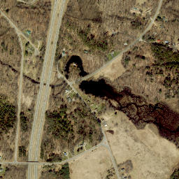 Carley Mills New York High Resolution Satellite Map