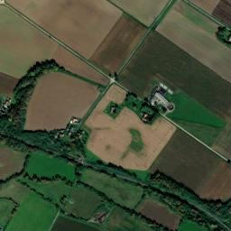 Denguin map(satellite map)