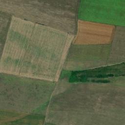 Obshtina Dolni Dabnik map(satellite map)