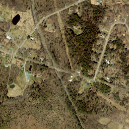 Morse New York High Resolution Satellite Map