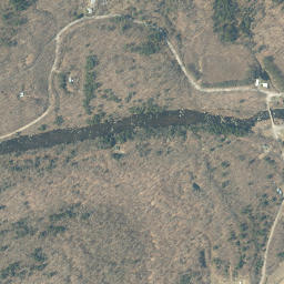 Blackbridge New York High Resolution Satellite Map