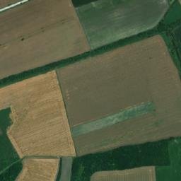 Obshtina Polski Trambesh map(satellite map)