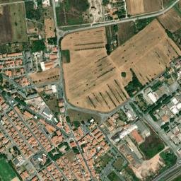 S.P. in Palazzi map(satellite map)
