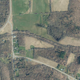 Crocketts New York High Resolution Satellite Map