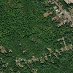 Boscawen map(satellite map)