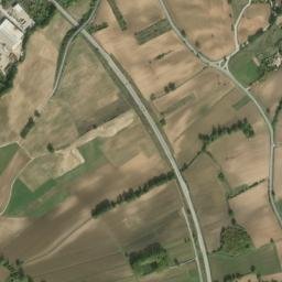 Osteria del Gatto map(satellite map)