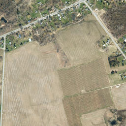 Gaines New York High Resolution Satellite Map