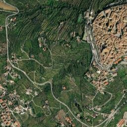 Cortona map(satellite map)