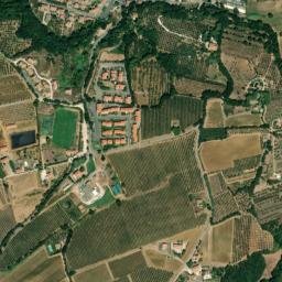 Bibbona map(satellite map)