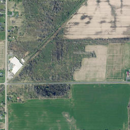 Elberta New York High Resolution Satellite Map