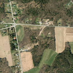 Pine New York High Resolution Satellite Map