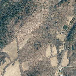 Goose Island New York High Resolution Satellite Map