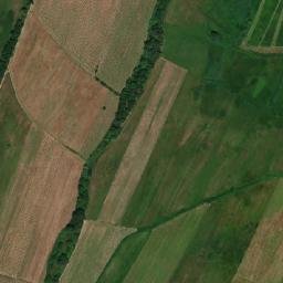 Kizilyurtovskiy Rayon map(satellite map)