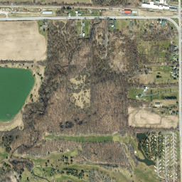 Fancher New York High Resolution Satellite Map