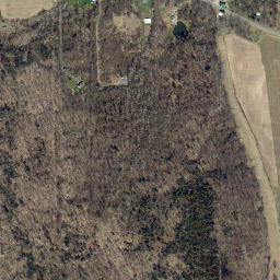 Lummisville New York High Resolution Satellite Map
