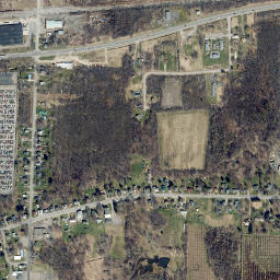 East Williamson New York High Resolution Satellite Map