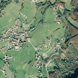 Igantzi map(satellite map)
