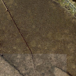 Forest Beach New York High Resolution Satellite Map