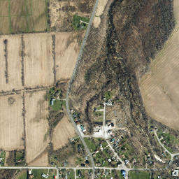 Shelby Center New York High Resolution Satellite Map