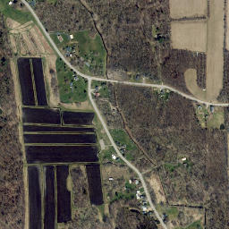 Owls Nest New York High Resolution Satellite Map