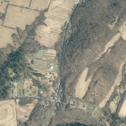 Lick Springs New York High Resolution Satellite Map