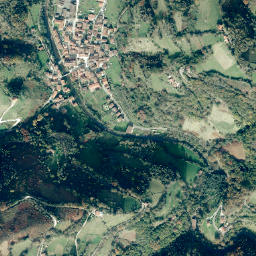 Goizueta map(satellite map)