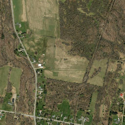 Dix New York High Resolution Satellite Map