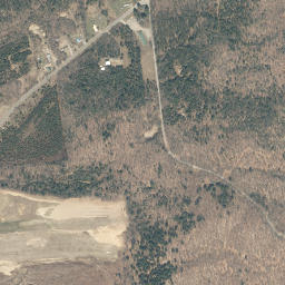 Curtis New York High Resolution Satellite Map