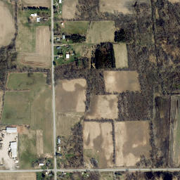 Minsteed New York High Resolution Satellite Map