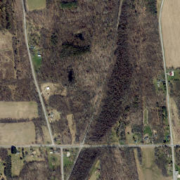 Zurich New York High Resolution Satellite Map